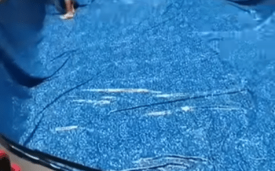 Above-Ground Pool Liner Installation in Decatur, GA